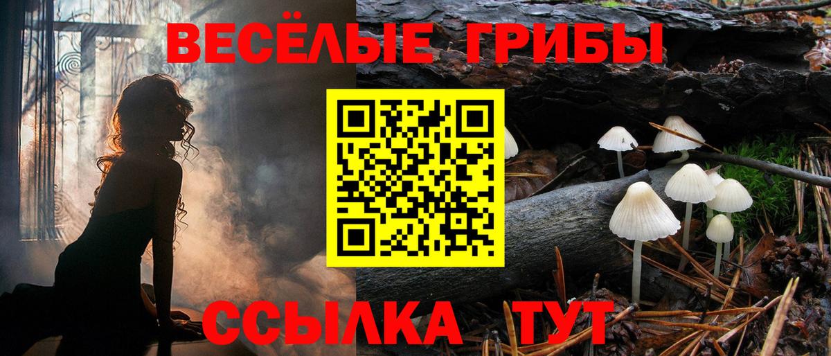 Псилоцибиновые грибы Cubensis Костомукша